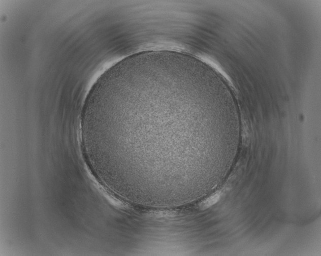 X0000076081040200610061611