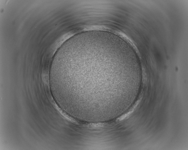 X0000076081041200610061611