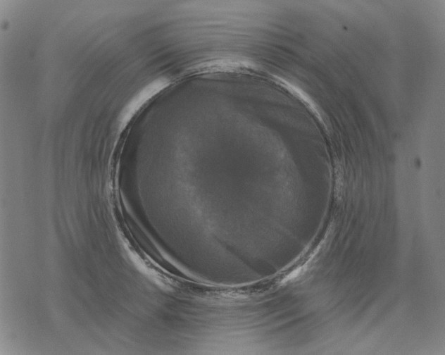 X0000076081042200610061611