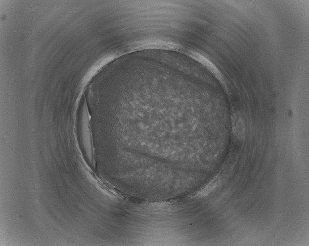 X0000076081043200610061611