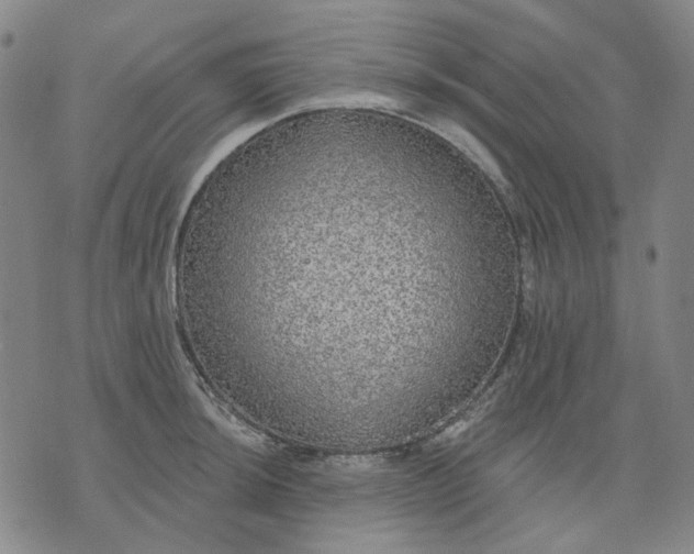 X0000076081044200610061611