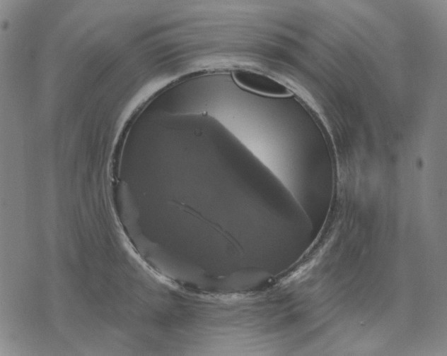 X0000076081045200610061611