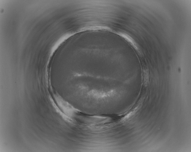 X0000076081046200610061611