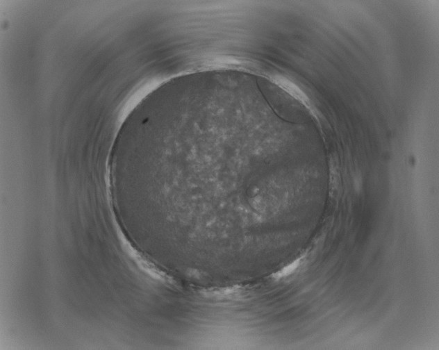 X0000076081047200610061611