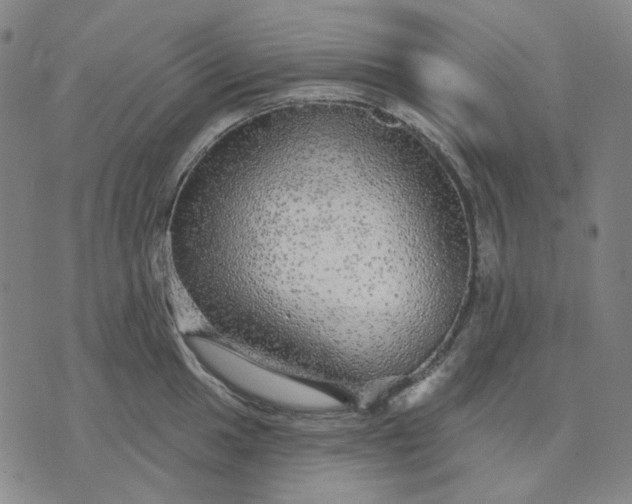 X0000076081049200610061611