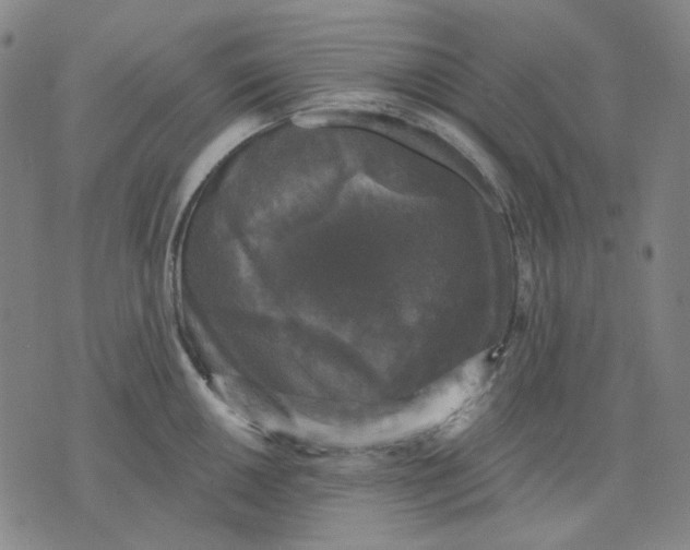 X0000076081050200610061611