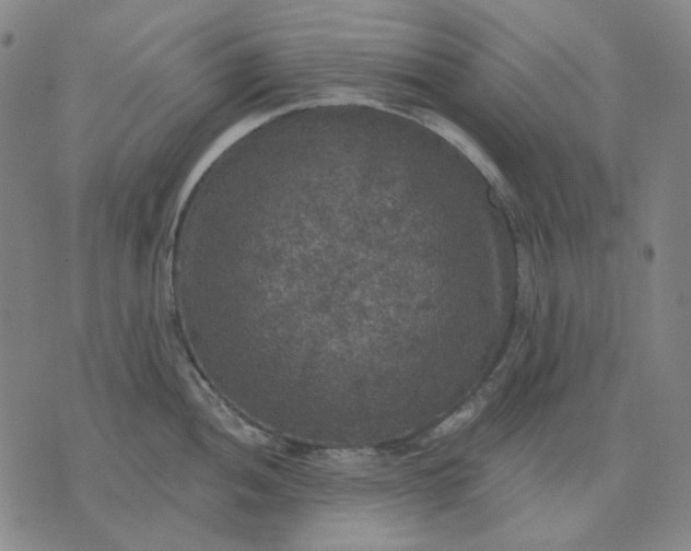 X0000076081052200610061611