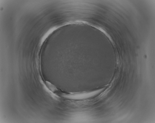 X0000076081054200610061611