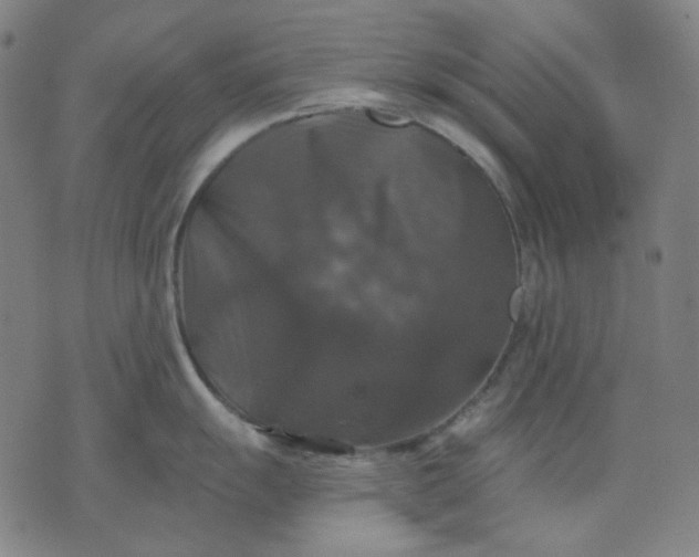 X0000076081055200610061611