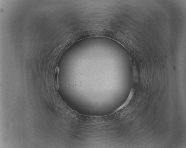 X0000076081057200610061610