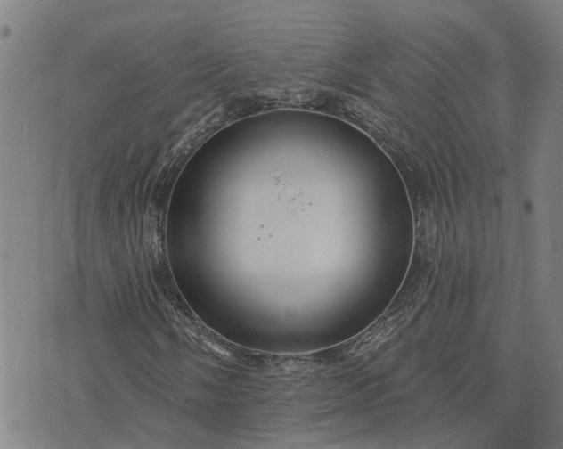 X0000076081058200610061610