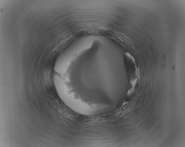 X0000076081060200610061610