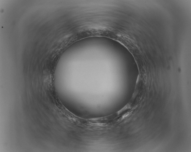 X0000076081061200610061610