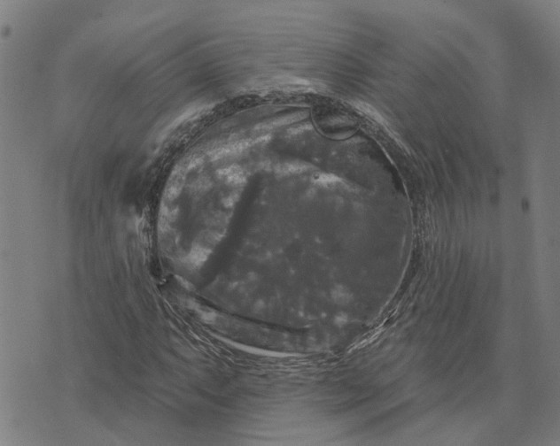 X0000076081063200610061610