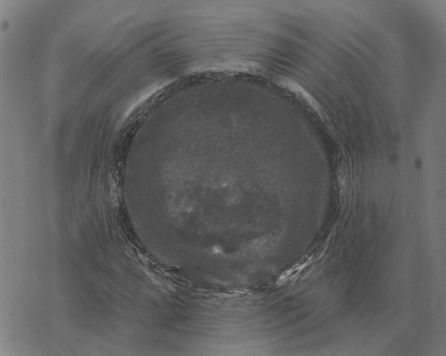 X0000076081064200610061610