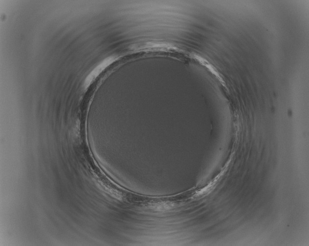 X0000076081066200610061610