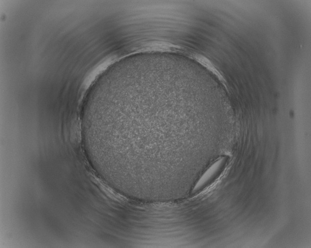 X0000076081067200610061610