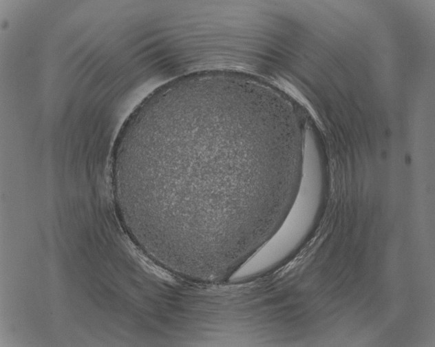 X0000076081068200610061610