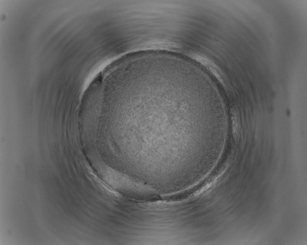 X0000076081069200610061610