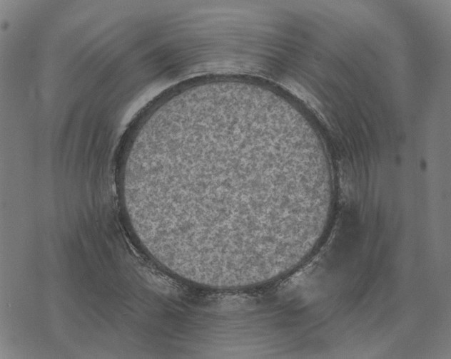 X0000076081070200610061610