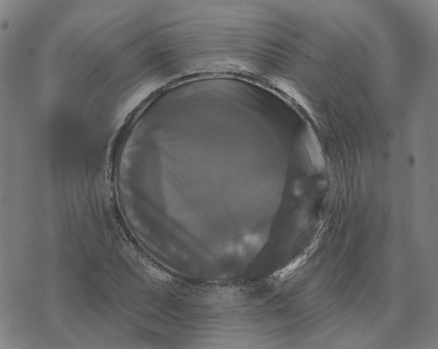 X0000076081071200610061610