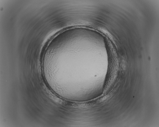 X0000076081072200610061610