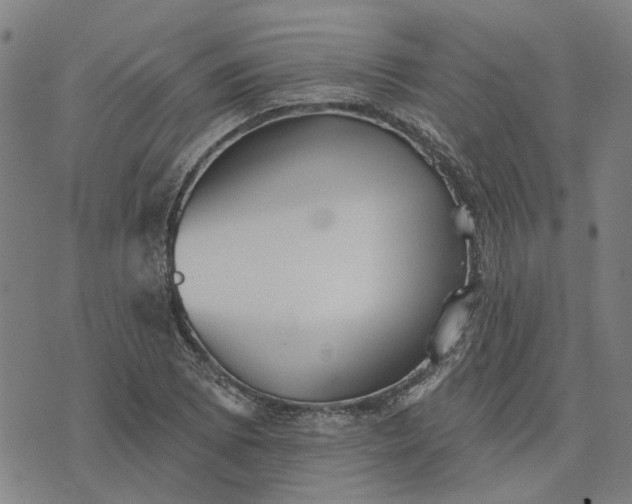 X0000076081073200610061610