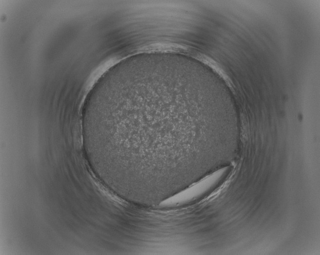 X0000076081075200610061610