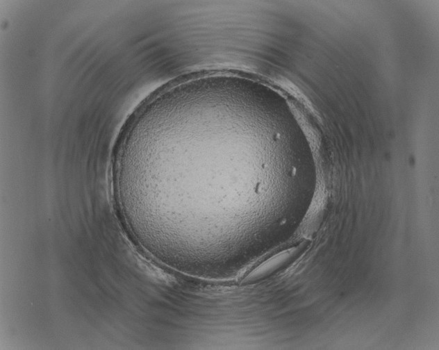 X0000076081076200610061610