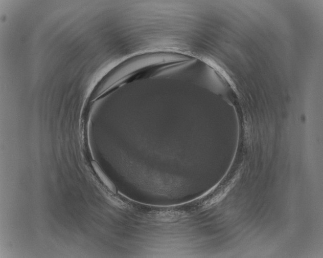 X0000076081077200610061610