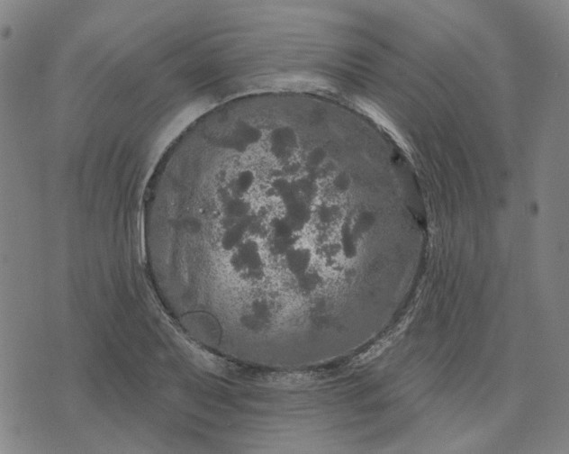 X0000076081079200610061610