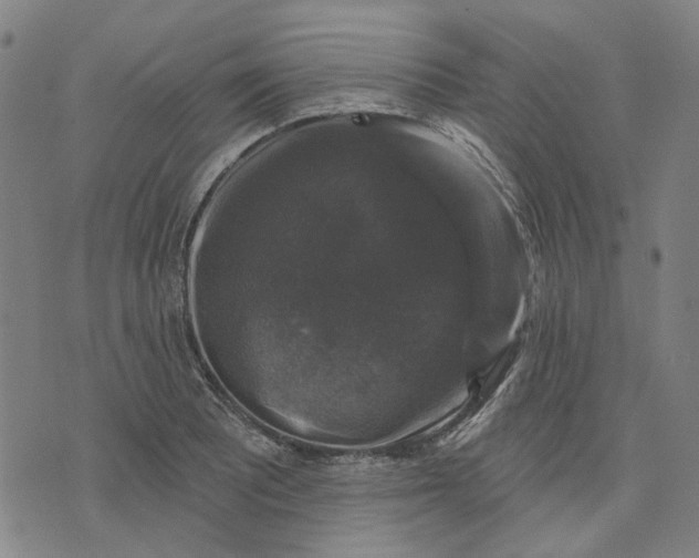 X0000076081081200610061610