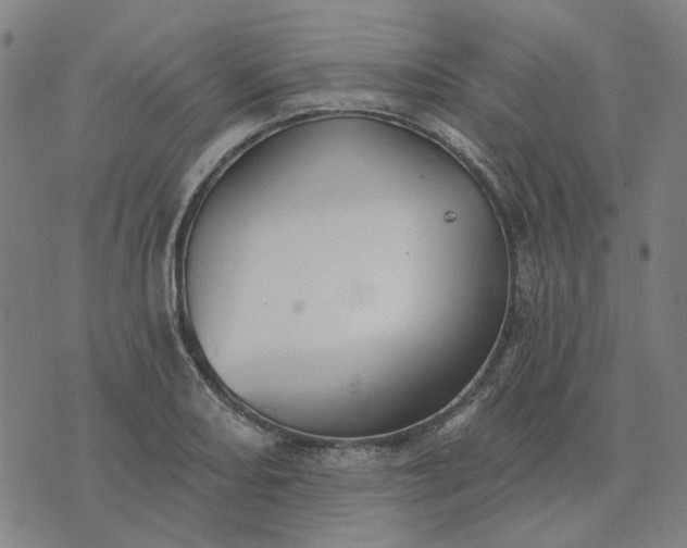 X0000076081082200610061610