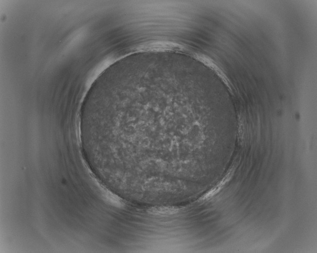 X0000076081083200610061610