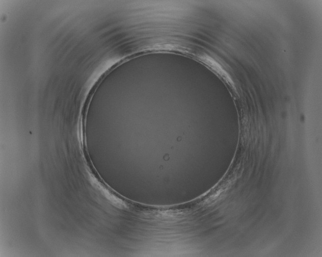 X0000076081084200610061610