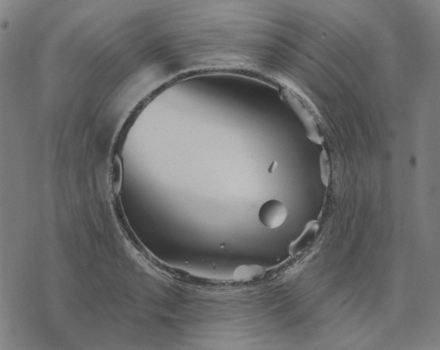 X0000076081085200610061610