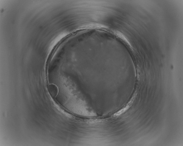 X0000076081087200610061610