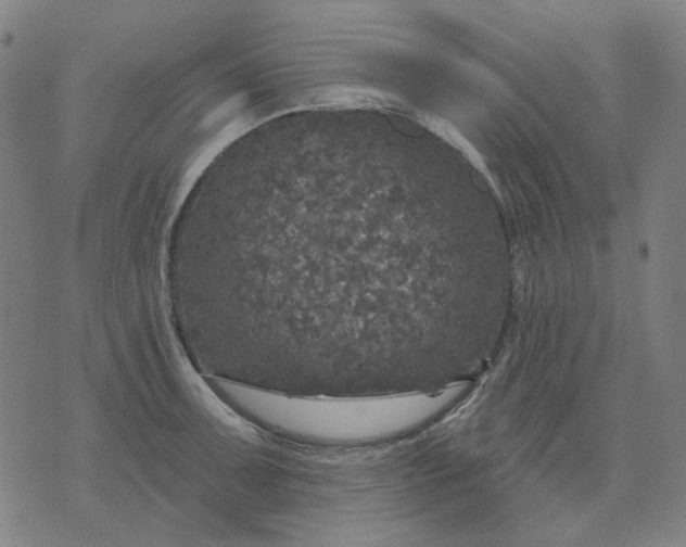 X0000076081091200610061610