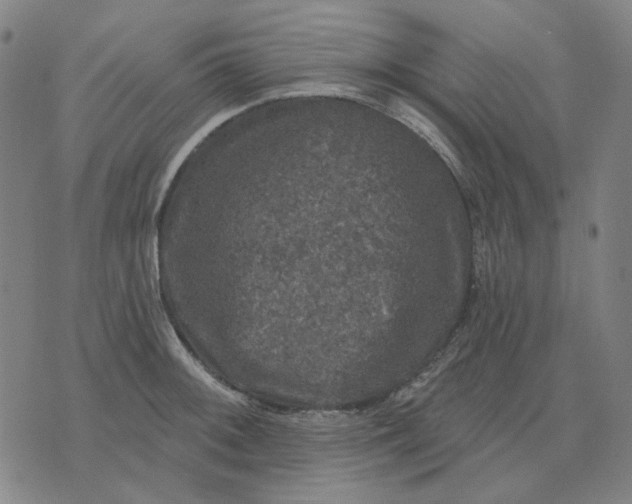 X0000076081092200610061610