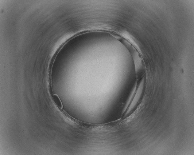 X0000076081093200610061610