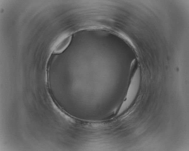 X0000076081095200610061610