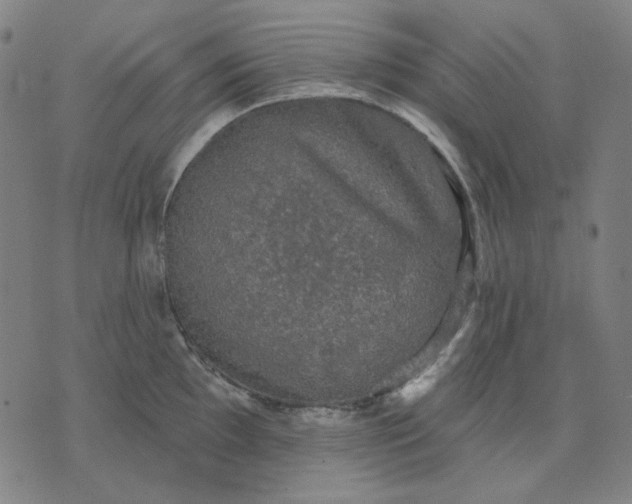 X0000076081097200610061610