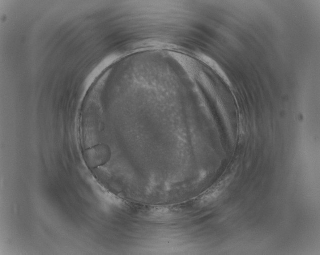 X0000076081098200610061610