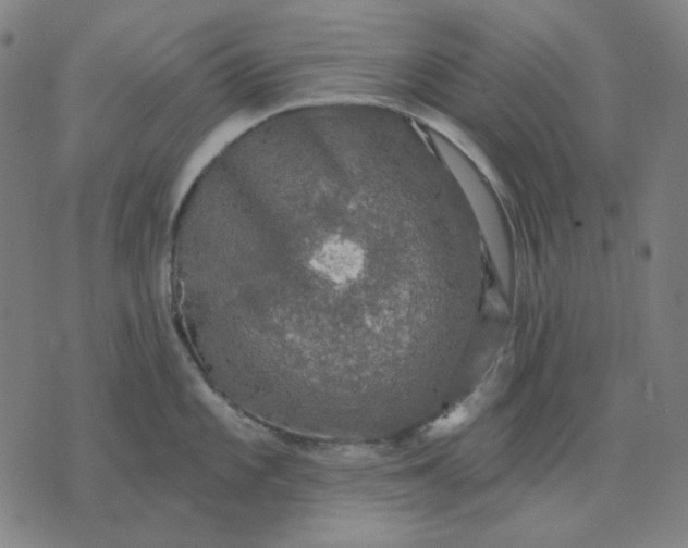 X0000076081101200610061610