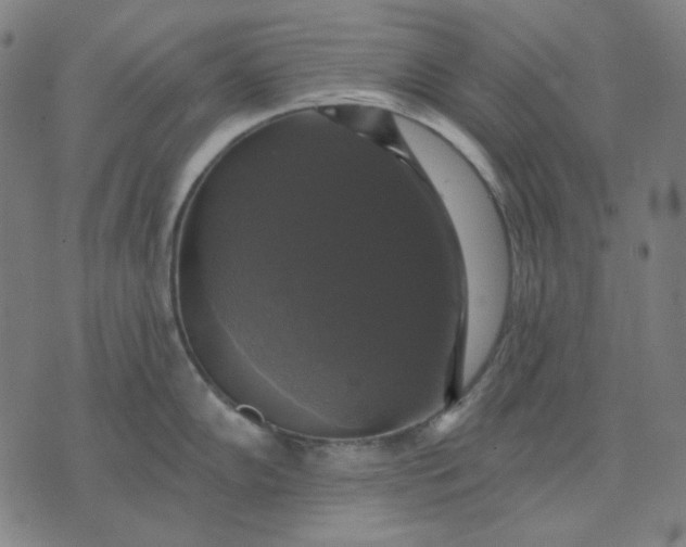 X0000076081102200610061610