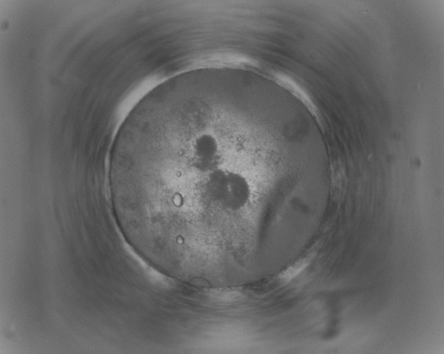 X0000076081103200610061610