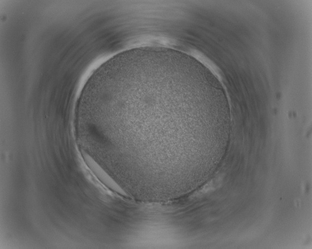 X0000076081104200610061610