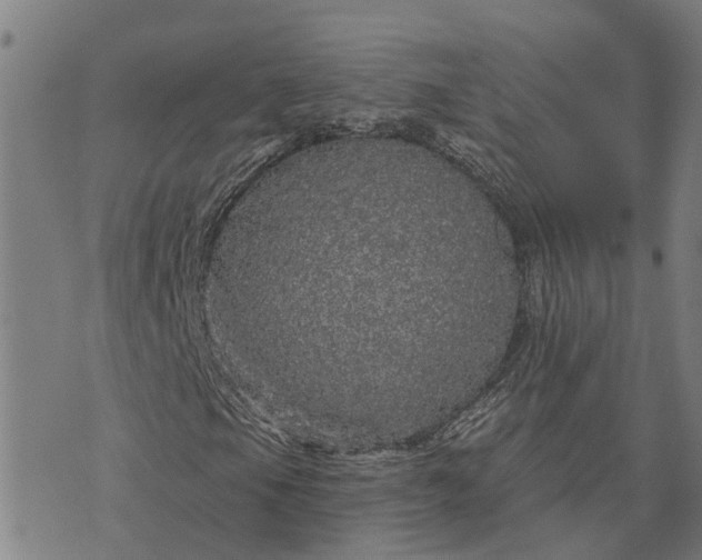 X0000076081105200610061609