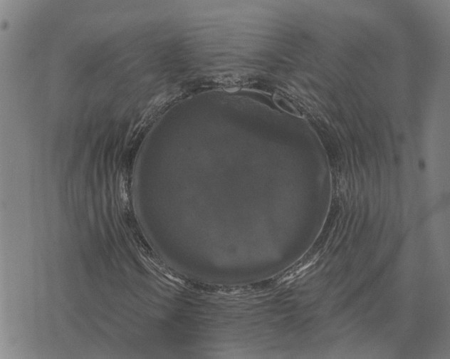 X0000076081106200610061609