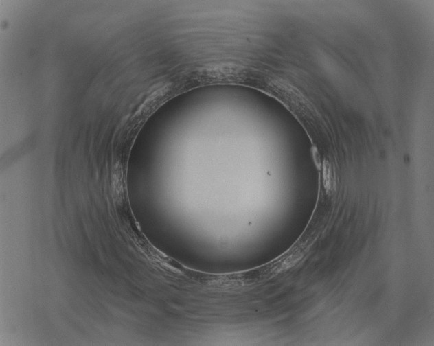 X0000076081107200610061609